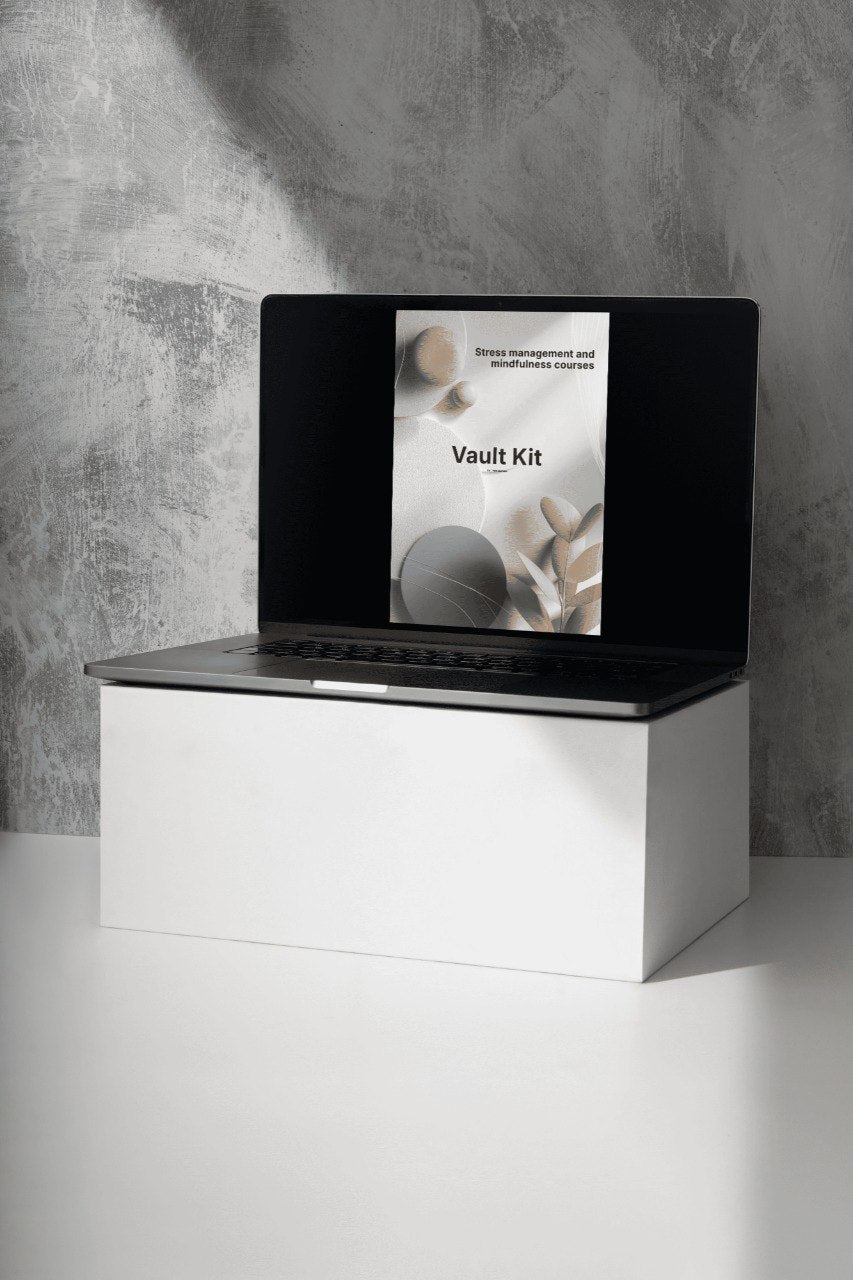 White box with a black lid featuring a 'Vault Kit' label on a gray background
